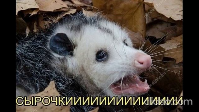✦ ТРЕНДОВЫЙ ФЛОУ ✦ 1 ЧАС ✦ ТРЕНДОВЫЙ ФЛОУ ✦
