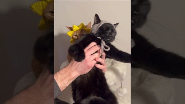 Солнечное затмение. смотреть онлайн