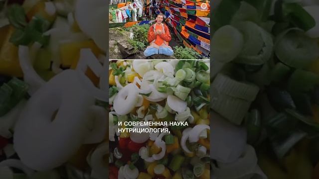 4 УНИКАЛЬНЫХ КУРСА OUM.RU