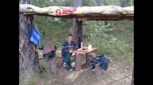 Листья желтые 2023г.