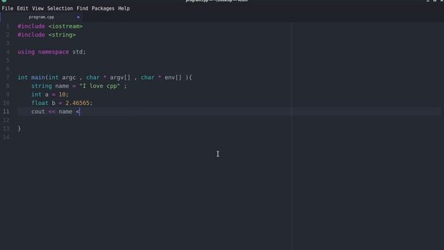 21 variables in cpp