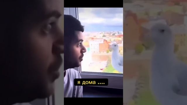 Вроде бы смешно,а вроде и грустно  #reels #семья #молодаямама #мама #прикол #материнство #юмор