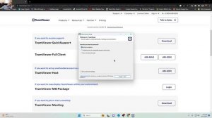Download and Load TeamViewer
