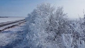 Зимнее утро