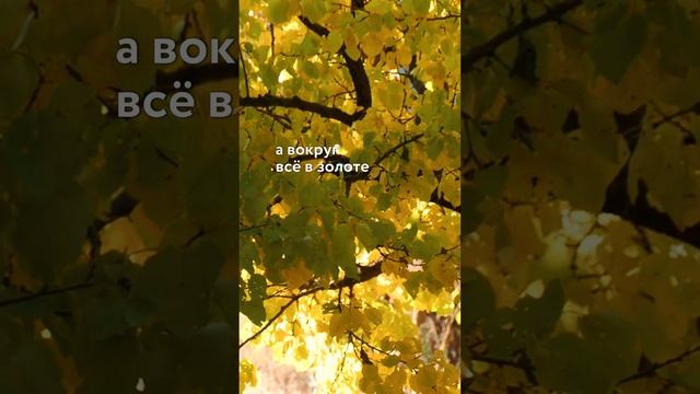 Золотая осень в Дагестане — причина для поездки #дагестан
