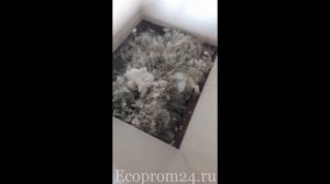 Двухроторный шредер 3Е серия SWTF3080 испытание на пленке