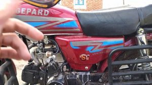 обзорчик на альфу гепард