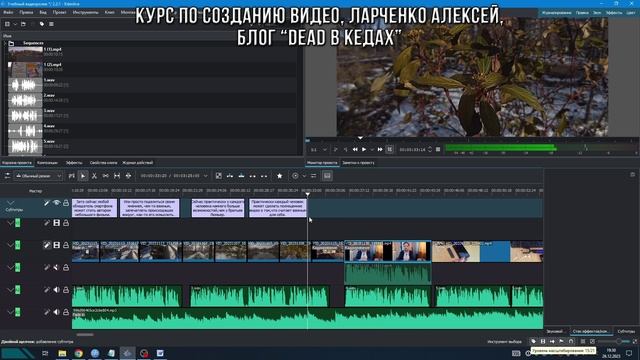 7. Добавление субтитров в учебный проект / Курс по Созданию Видео