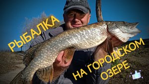 РЫБАЛКА НА ГОРОДСКОМ ОЗЕРЕ...