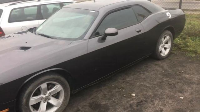 Dodge Challenger from USA из США смотреть онлайн