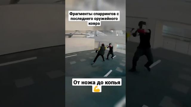 Оружейные ковры в Потоке. Фрагменты спаррингов. Нож, меч, копьё. #shorts смотреть онлайн