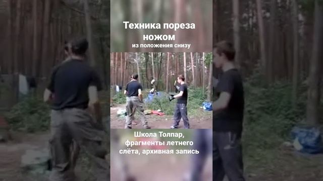 Техника пореза с опущенных рук. Толпар, архивная запись. #shorts смотреть онлайн
