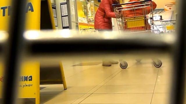 Awk and Daria смотреть онлайн