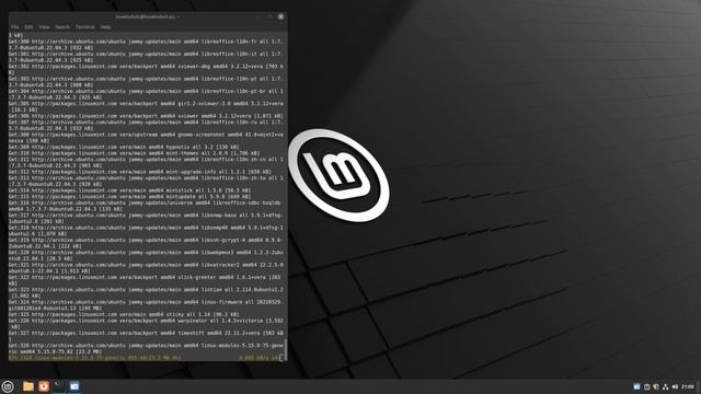 How to update and upgrade Linux Mint using CLI смотреть онлайн