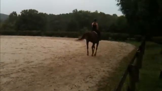 EAT HORSE HAIR смотреть онлайн