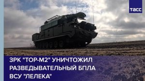 ЗРК "Тор-М2" уничтожил разведывательный БПЛА ВСУ "Лелека"