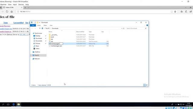 Deliver Keylogger and Observe Keylogs| Creating Malware with Python | HackVenom