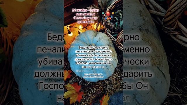 https://rutube.ru/video/a17544677a9bec44c35c80dedd168729/?r=a