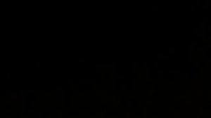 elvis presley - blue christmas (audio)