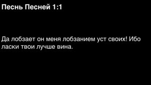 День 174. Библия за год. С митрополитом Иларионом.