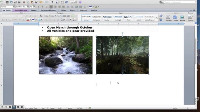 Digital Literacy 7.3.1 Graphics project смотреть онлайн