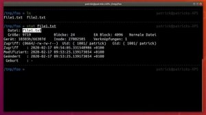 How to grab a detailed file information in Linux Bash