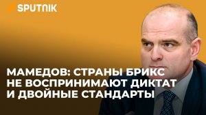 Взгляд в будущее: что обсуждают страны БРИКС в Казани?