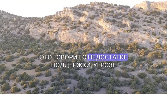 Токсичные отношения