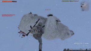 ПРЕДПОСЛЕДНИЙ ОХОТНИК НА МЕДВЕДЯ.СТАЛКЕР ОНЛАЙН.STAY OUT