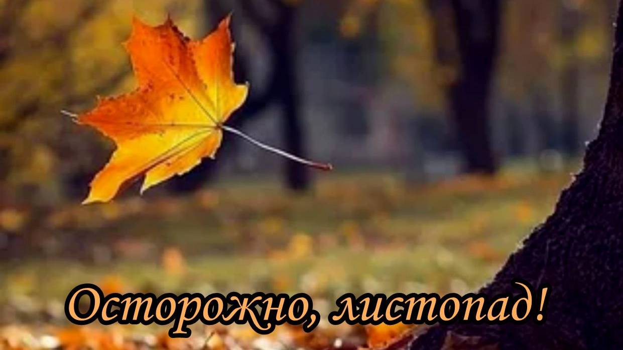 Осторожно листопад пугачева слушать. Осторожно листопад картинки. Рэп про аллу. Осторожно подбирайте слова. Песня осторожно листопад слушать.