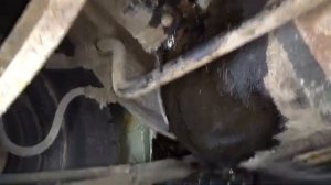 Пришел в мастерскую, а там...