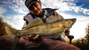 Подсмотрел способ ловли в корягах у местных, пробую ловить. Как ловить судака осенью джиг.