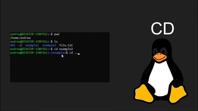4 Linux commands you NEED to know