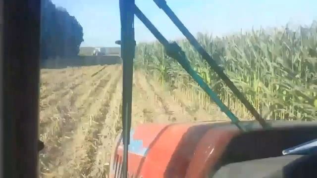 Trinciatura mais con class jaguar 970,case CS 110 смотреть онлайн