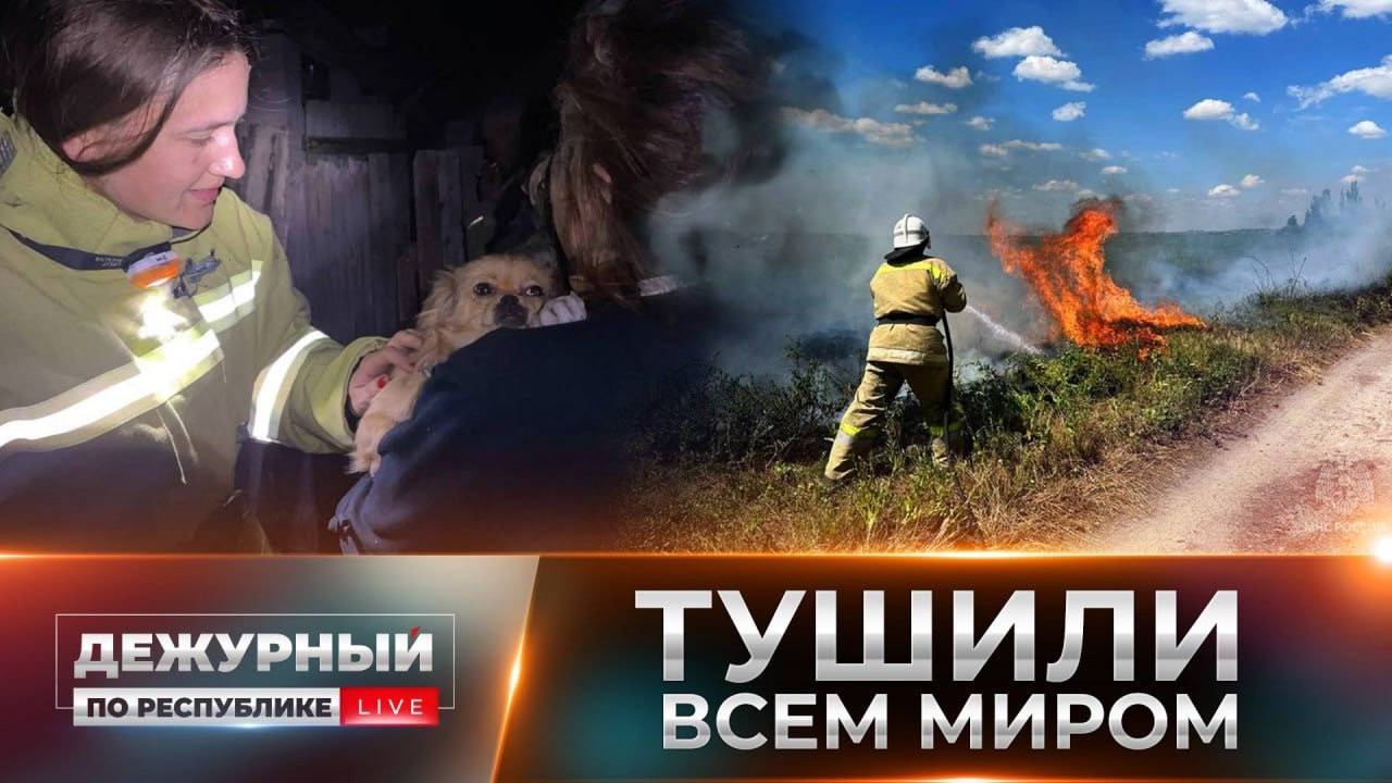 Пожар в Снежном: город до сих пор приходит в себя! Борьба с последствиями и помощь пострадавшим