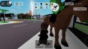 секретки в 
брукхейвен роблокс