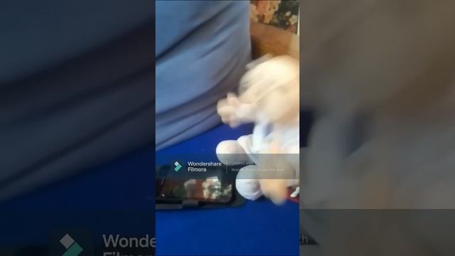 El doctor simi no sabe utilizar un iphone y me roban смотреть онлайн