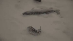 20221124_092413