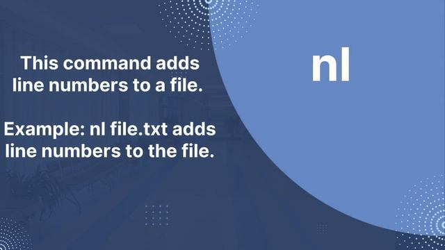 Twenty Linux commands that are not commonly used