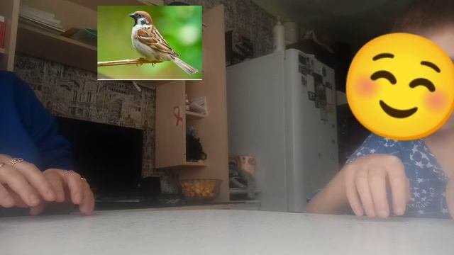 Воробей🐦