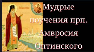 Обидчиков своих оставь на Суд Божий, сам не суди.   Драгоценные советы прп Амвросия Оптинского