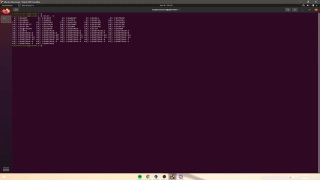 Linux SRE/DevOps Free Course -- Lesson 7 Signals