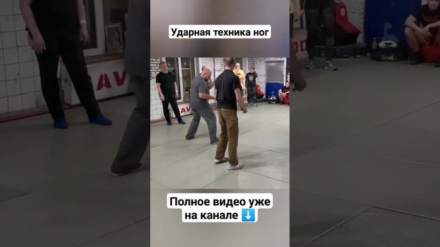 Удары ногами. Техника школы Толпар ОС #shorts смотреть онлайн