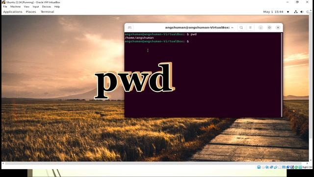 Basic Terminal Commands in Linux Ubuntu |ubuntu terminal tutorial |টার্মিনাল এর সাথে পরিচিতি | P-1