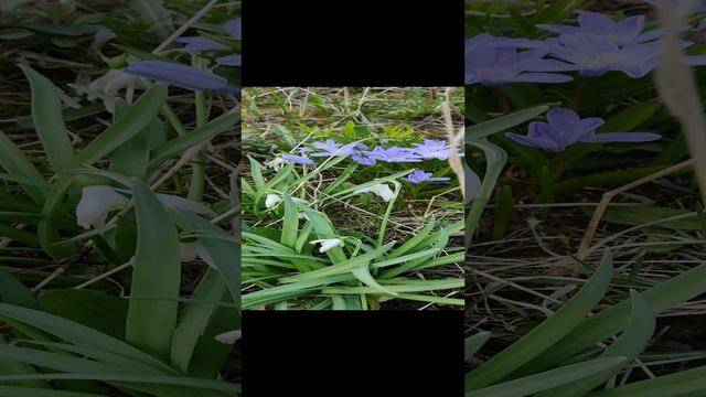 Выходные на даче 2023