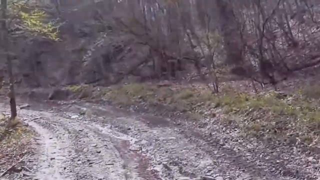 Поднависла апрель 2015