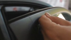 carl steelman Дефлектор дверей