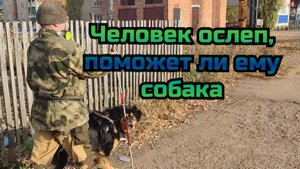 Человек ослеп, поможет ли ему собака поводырь