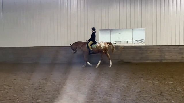 Hunt Seat Equitation Freestyle Ava B Class 50 смотреть онлайн