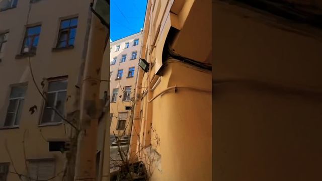 Питер! Интересные места у метро Петроградская / Горьковская #путешествия #спб #питер #санктпетербург